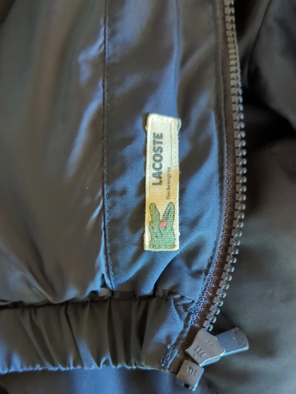 Lacoste Kid's' Navy Hooded Puffer Jacket Size 5